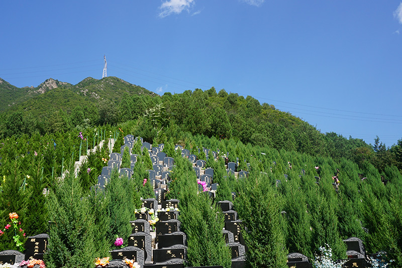 最简单最有效的选墓方式是什么（如今还有大师选墓吗）